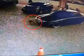 Video: Bé gái 2 tuổi bị ô tô đâm, kéo lê tại trạm xăng