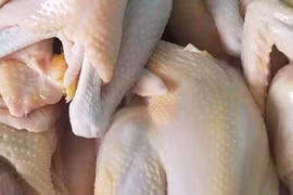 Chợ mạng nhộn nhịp mua bán khi giá gà ri bất ngờ giảm mạnh