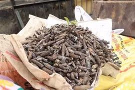 Video: 6 tấn đầu đạn trong nhà dân ở Hưng Yên không rõ nguồn gốc thu mua?