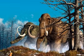 Voi ma mút khổng lồ nặng thế nào và vì sao chúng tuyệt chủng? 