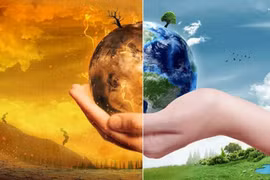 Kỷ nguyên đại tuyệt chủng lần thứ 6 do biến đổi môi trường