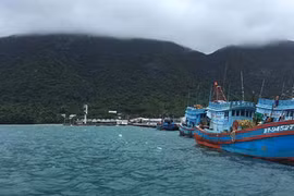 Du lịch Côn Đảo giá rẻ: tại sao không?