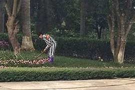 Nỗi dằn vặt sau mối tình tội lỗi