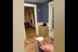 Video: Đau đầu khi phải ở nhà trông lũ nhóc tì siêu quậy