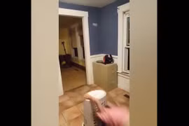 Video: Đau đầu khi phải ở nhà trông lũ nhóc tì siêu quậy