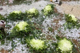 Mưa đá khủng khiếp phủ trắng mặt đất tại Hòa Bình và Sơn La