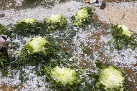 Mưa đá khủng khiếp phủ trắng mặt đất tại Hòa Bình và Sơn La