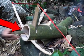 Video: Nhóm đi rừng làm ngày chiếc bẫy “một đi không trở lại“