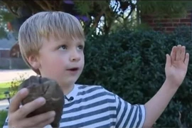 Cậu bé 6 tuổi tìm thấy "răng khủng long" và sự thật bất ngờ