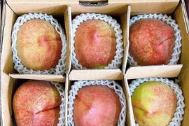 Loại quả 100% hàng Trung Quốc gây sốt, giá cao chót vót vẫn đắt hàng