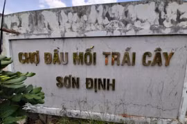 Chợ đầu mối hoành tráng bỏ hoang, tốn 3 triệu/tháng canh giữ