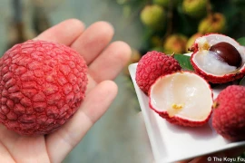 Vải thiều Nhật Bản 1 triệu/6 quả vẫn đắt hàng ở Việt Nam