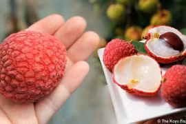 Vải thiều Nhật Bản 1 triệu/6 quả vẫn đắt hàng ở Việt Nam