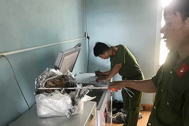 Ngâm hổ trong bể rượu, một người bị phạt 75 triệu đồng