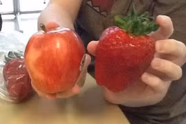 20 thứ làm ai cũng há hốc mồm về kích cỡ