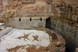 Thu thuế nước tiểu, thuế nuôi râu và trăm thứ kỳ quặc