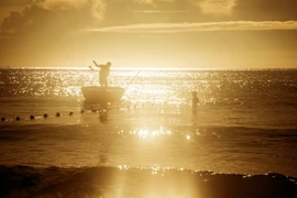 1 buổi dễ dàng kiếm 4-5 triệu đồng ở bãi biển "đẹp nhất hành tinh"