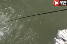 Video: Khuấy động mặt nước, thứ xuất hiện sau đó gây hãi hùng
