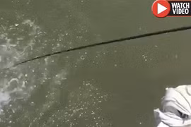 Video: Khuấy động mặt nước, thứ xuất hiện sau đó gây hãi hùng