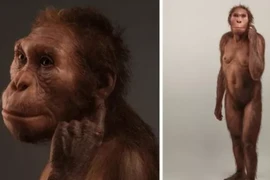 Tìm ra người phụ nữ biến đổi dở dang giữa người và vượn