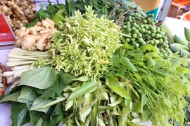 Giáp Tết lên vùng cao "săn" nhân sâm, ngọc cẩu, cà dại, rêu đá