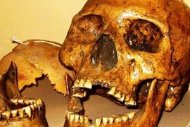 Người khổng lồ tóc đỏ bí ẩn "ăn thịt" đồng loại