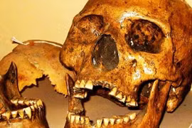 Người khổng lồ tóc đỏ bí ẩn "ăn thịt" đồng loại