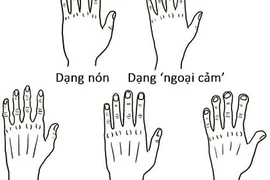 Nhìn dáng bàn tay đoán năng khiếu, tính cách