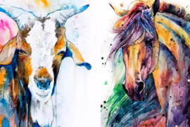 Vận trình 12 con giáp trong 7 ngày tới