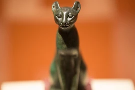 Bò và những loài vật linh thiêng trên thế giới