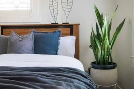 Đầu giường ngủ 3 vật nên tránh dễ tiêu hao tiền bạc