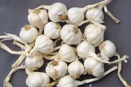 Thực hư tỏi Lý Sơn, bồ kết, đèn xông tinh dầu... có thể tiêu diệt virus corona