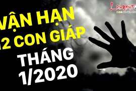 Video: Vận hạn tháng 1/2020 của 12 con giáp: Ai đang bị tiểu nhân rình rập?