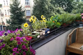 Sao xấu chiếu mệnh, chồng "vét sạch cửa nhà" đi cúng lễ