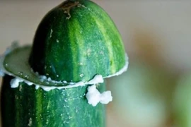 Sai lầm tai hại khi ăn dưa chuột mà nhiều người không biết