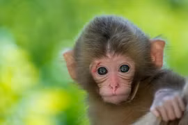 Trời định số giàu, 3 con giáp cả đời ngập trong tiền vàng 