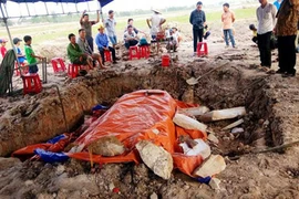 Phát hiện ngôi mộ cổ nghi của vị Quận Công Thế kỷ XI