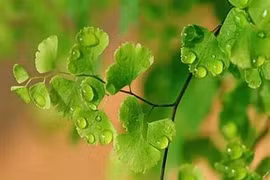 Người thông minh cả đời không nói những lời như thế này