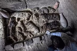Ghê rợn hàng chục xác ướp mèo, bọ hung trong mộ cổ Ai Cập