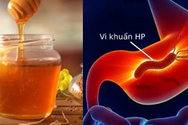 8 thực phẩm triệt hạ vi khuẩn HP trong dạ dày