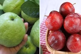 10 loại quả giàu canxi chẳng kém sữa: Giá rẻ bèo mà bổ