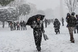 Video: Mặc nội y… chạy đua giữa thời tiết lạnh giá