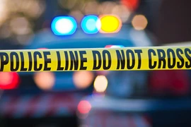 Phát hiện điều kinh hoàng trong bể cá của người đàn ông Mỹ