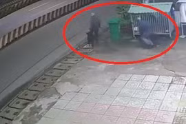 Video: Bảo vệ ngủ say, cẩu tặc vào tận chuồng trộm chó