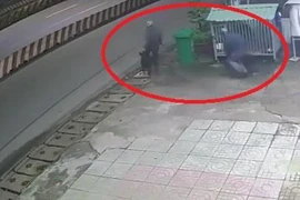 Video: Bảo vệ ngủ say, cẩu tặc vào tận chuồng trộm chó