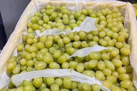 Nho Trung Quốc làm mưa, làm gió thị trường chợ hoa quả online