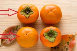 Mách chị em cách chọn hồng giòn cúng Trung thu