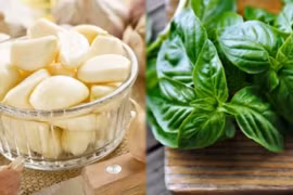 10 loại thực phẩm là kháng sinh tự nhiên, tăng cường sức đề kháng