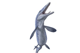 Tìm đá quý, đào trúng… quái vật