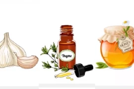 Video: 3 loại 'kháng sinh' hiệu quả trong tự nhiên